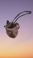 Bolso Carla